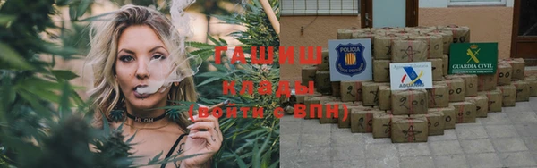 ешки Бородино