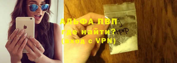 сатива Богданович