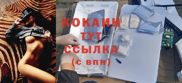 ешки Бородино