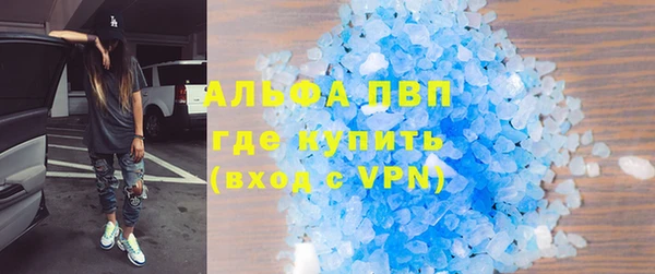 стаф Богородск