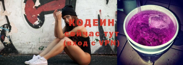 индика Приозерск