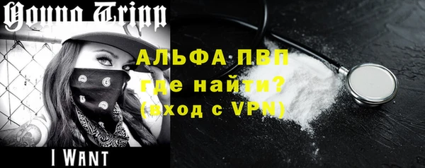 сатива Богданович
