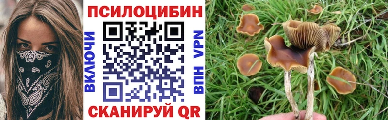где купить наркоту маркетплейс состав Псилоцибиновые грибы GOLDEN TEACHER Новороссийск